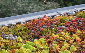 the cost of Watchhill green roof installation
