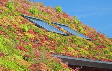 Watchhill living roof systems